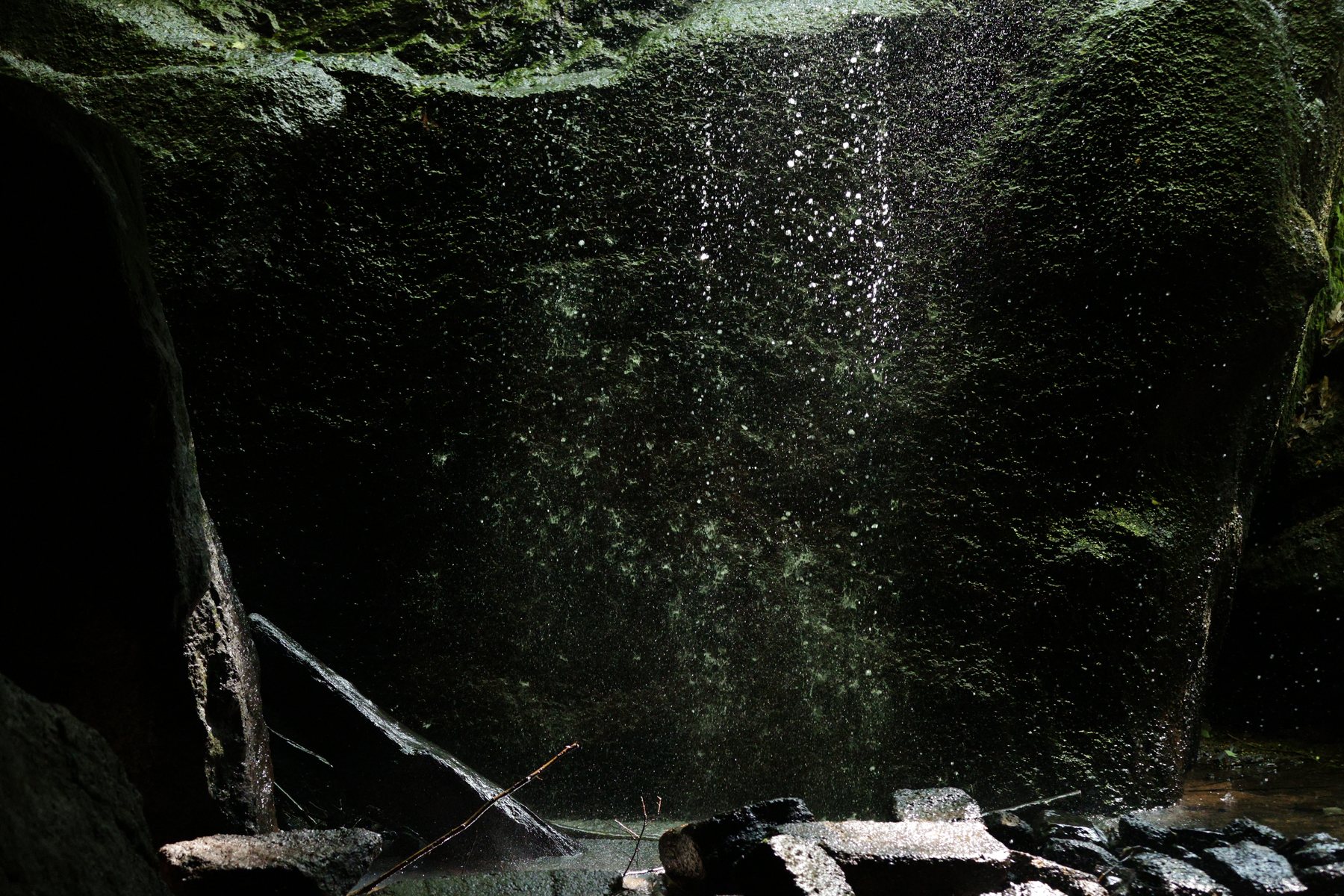 Small waterfall in a shadowed forest gorge.