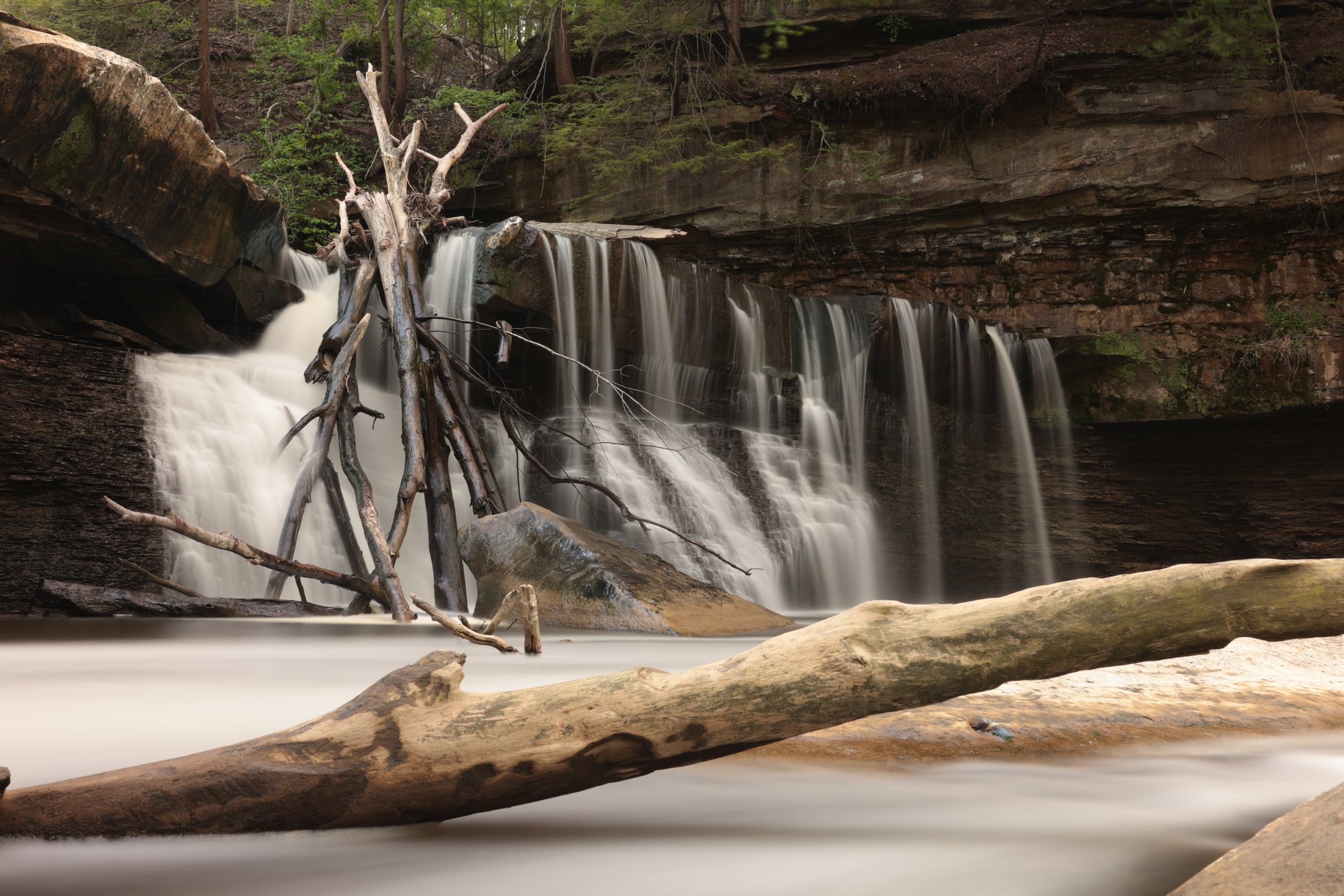Waterfall and driftwood in a rocky gorge.